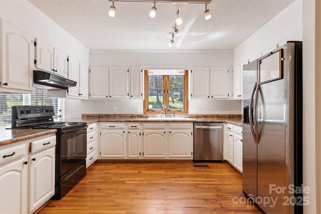 kitchen featuring light wood-style floors, under cabinet range hood, a wealth of natural light, and stainless steel appliances