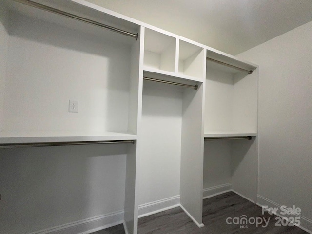 walk in closet with dark wood-type flooring