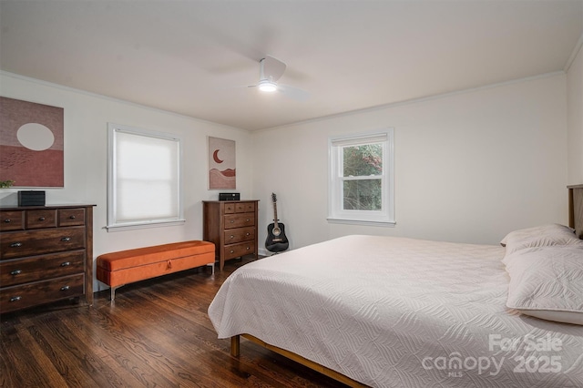 bedroom with multiple windows, a ceiling fan, ornamental molding, and dark wood-style flooring