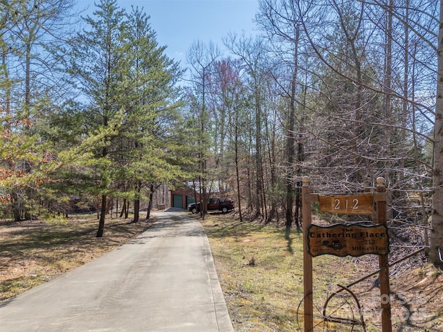 view of street with concrete driveway