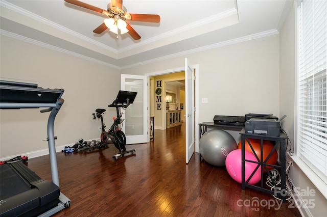 exercise area featuring a wealth of natural light, ceiling fan, ornamental molding, and hardwood / wood-style flooring