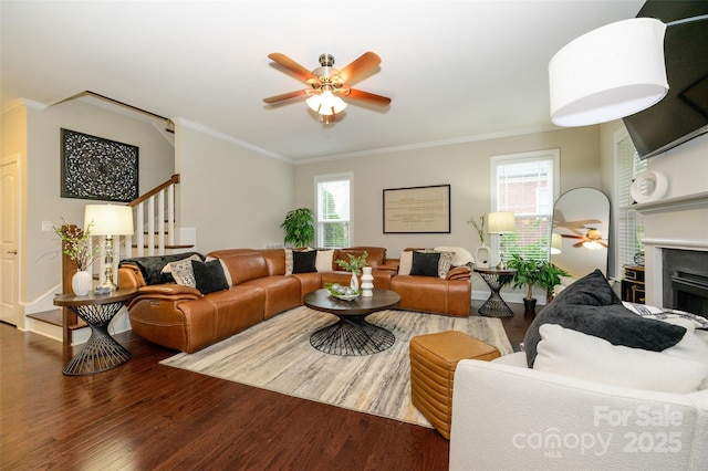 living room featuring crown molding, stairway, wood finished floors, and ceiling fan