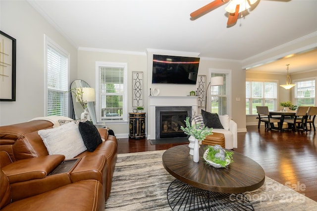 living room featuring crown molding, a ceiling fan, and wood-type flooring