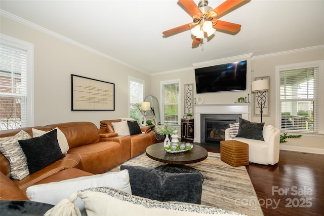 living room featuring dark wood finished floors, a fireplace with flush hearth, a ceiling fan, and ornamental molding