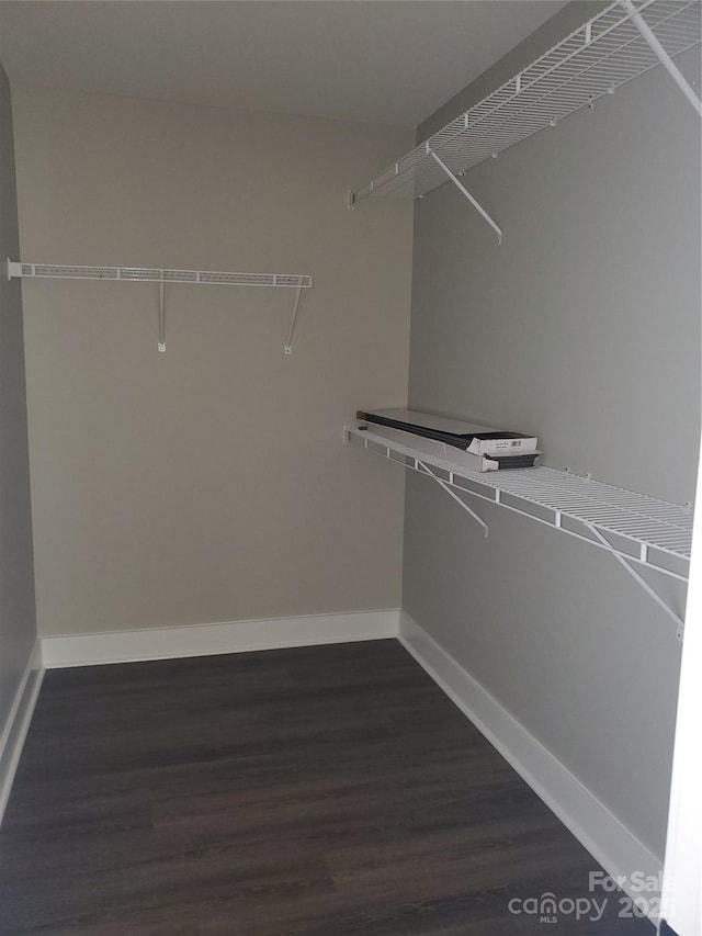 spacious closet with dark wood-style floors