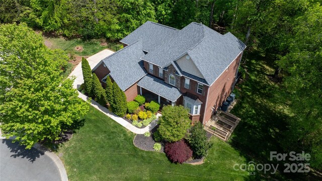 bird's eye view