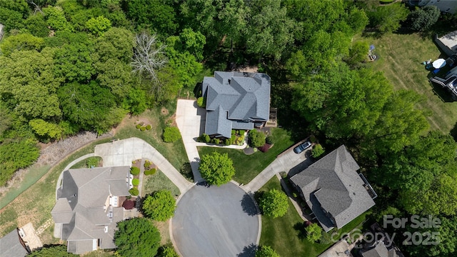 bird's eye view