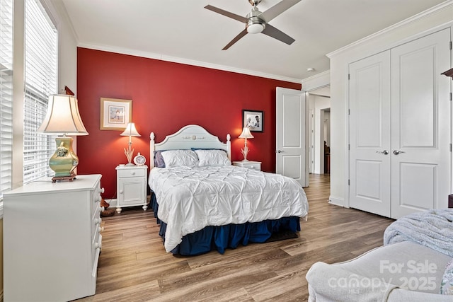 bedroom with crown molding, an accent wall, a ceiling fan, and wood finished floors