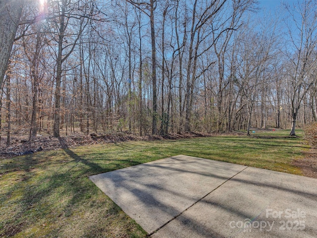 view of yard featuring a patio area