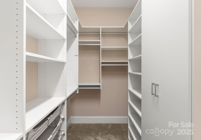 walk in closet with carpet