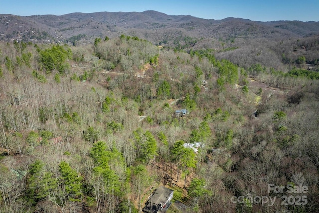 birds eye view of property featuring a mountain view and a view of trees