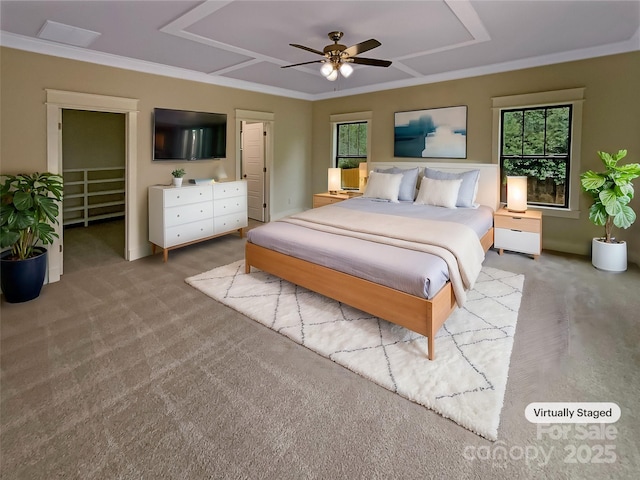 carpeted bedroom featuring ceiling fan, a spacious closet, and crown molding