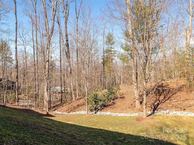 view of yard with a wooded view