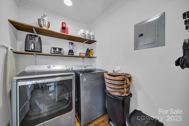 laundry room with electric panel, separate washer and dryer, wood finished floors, and laundry area