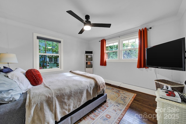 bedroom featuring a ceiling fan, multiple windows, wood finished floors, and baseboards