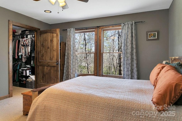 bedroom with a ceiling fan, baseboards, carpet floors, a closet, and a walk in closet