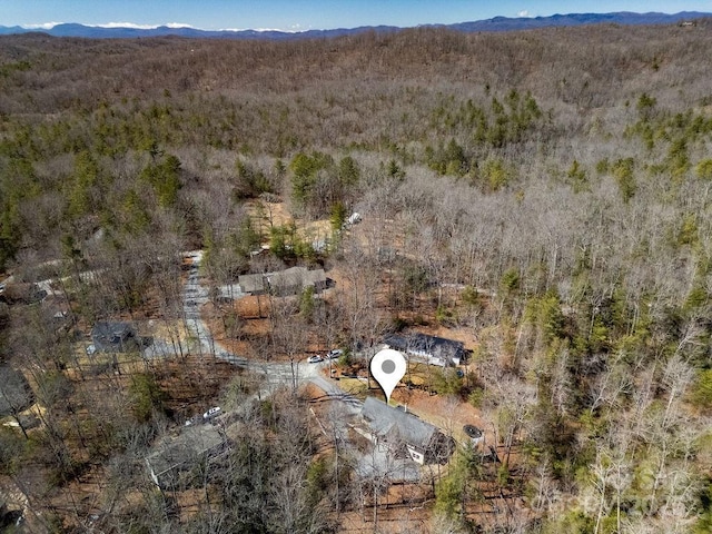 birds eye view of property featuring a mountain view and a view of trees