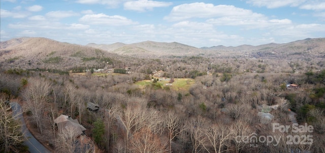 view of mountain feature