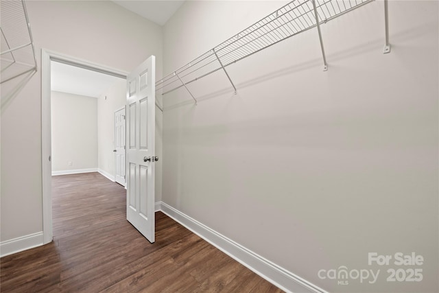 walk in closet with dark wood-type flooring