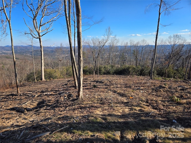 0000 E Garden Trl Unit 35, Hendersonville NC, 28792 land for sale