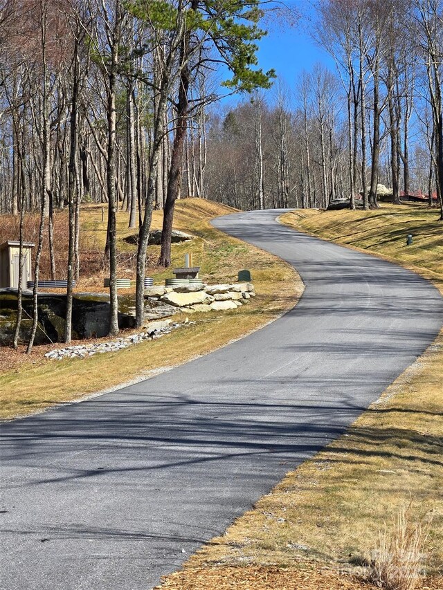 0000 E Garden Trl Unit 35, Hendersonville, NC 28792 - photo 3