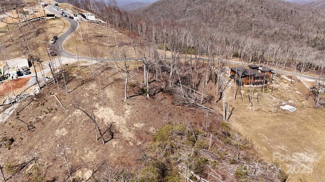 0000 E Garden Trl Unit 35, Hendersonville, NC 28792 - photo 5