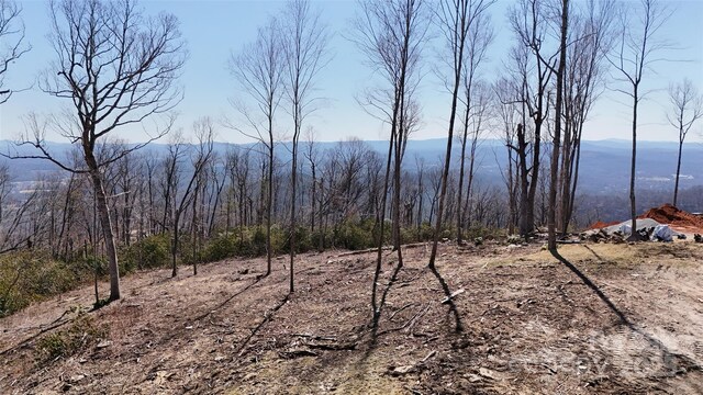 0000 E Garden Trl Unit 35, Hendersonville, NC 28792 - photo 6