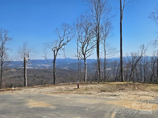 0000 E Garden Trl Unit 35, Hendersonville, NC 28792 - photo 7