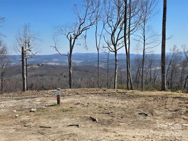 0000 E Garden Trl Unit 35, Hendersonville, NC 28792 - photo 8