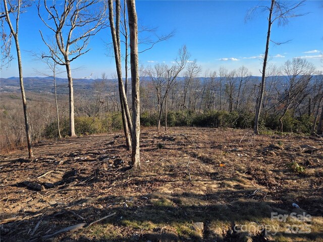 0000 E Garden Trl Unit 35, Hendersonville, NC 28792 - photo 1