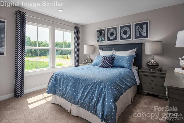 1240 Cottage Green Dr Unit 0132, Monroe, NC 28112 - carpeted bedroom featuring baseboards