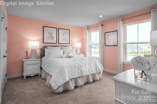1240 Cottage Green Dr Unit 0132, Monroe, NC 28112 - bedroom with carpet floors, baseboards, multiple windows, and recessed lighting
