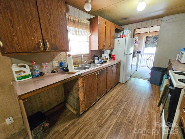 kitchen featuring freestanding refrigerator, range with electric stovetop, light countertops, light wood finished floors, and a sink