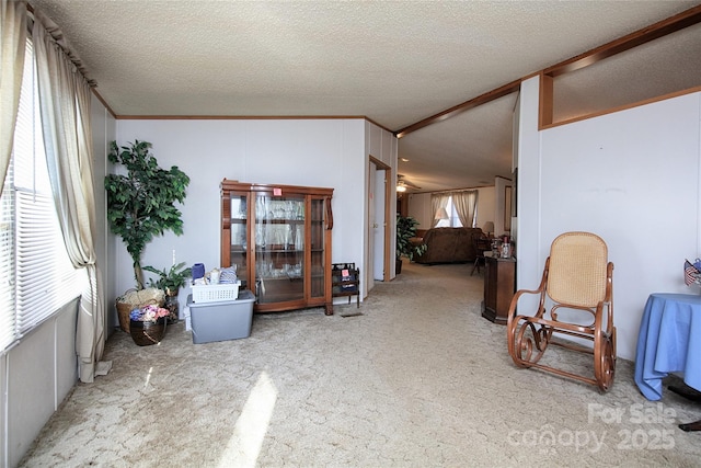 sitting room with carpet flooring, a textured ceiling, and ornamental molding