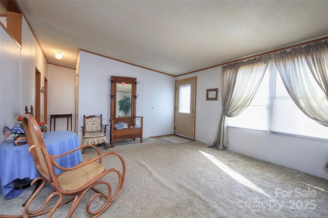 interior space featuring ornamental molding, a textured ceiling, and carpet floors