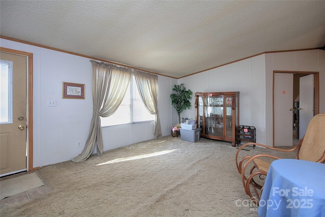 interior space with ornamental molding, a textured ceiling, and vaulted ceiling