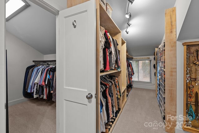 walk in closet with carpet floors