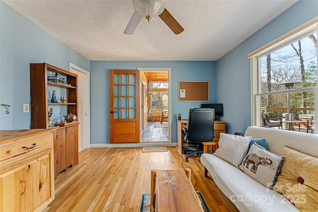 20 Meeks Rd, Black Mountain, NC 28711 - office area featuring a textured ceiling, a healthy amount of sunlight, and light wood-type flooring