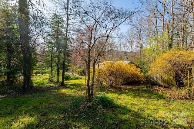 20 Meeks Rd, Black Mountain, NC 28711 - view of yard