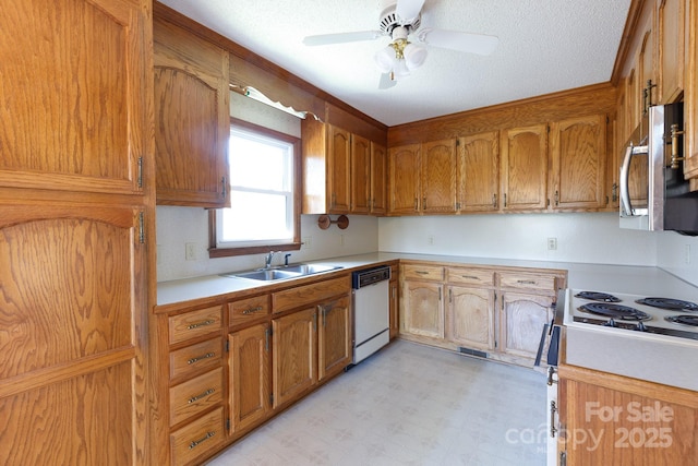 kitchen with a sink, stainless steel microwave, white dishwasher, light countertops, and light floors