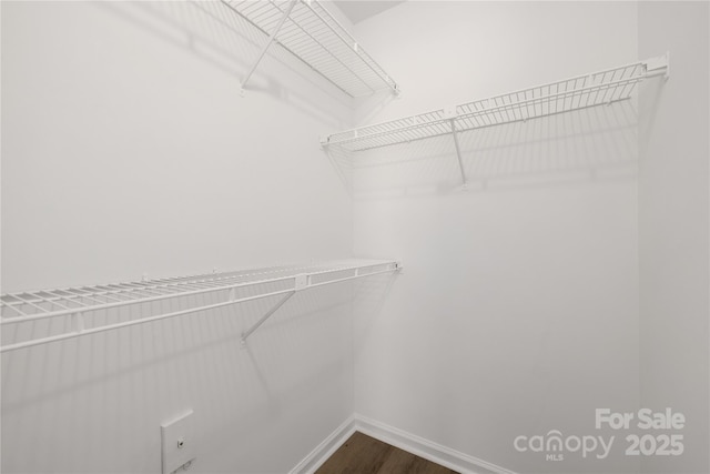 walk in closet with dark wood-type flooring