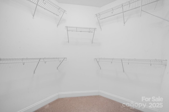 824 Wynnshire Dr Unit D, Hickory, NC 28601 - spacious closet with carpet floors