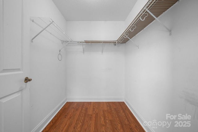 824 Wynnshire Dr Unit D, Hickory, NC 28601 - walk in closet featuring dark wood finished floors