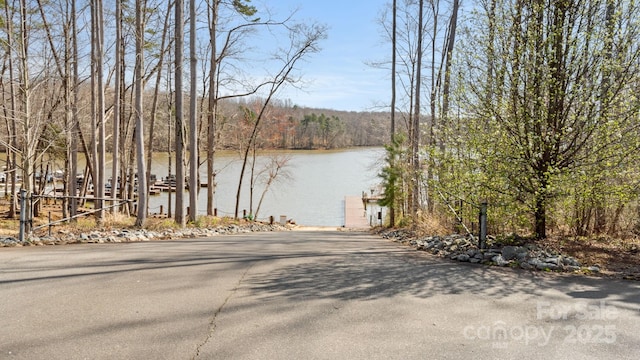 water view featuring a view of trees