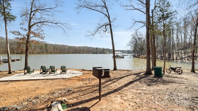 dock area with a water view