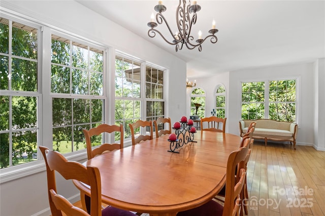 3 Northwood Rd, Asheville, NC 28804 - photo 8