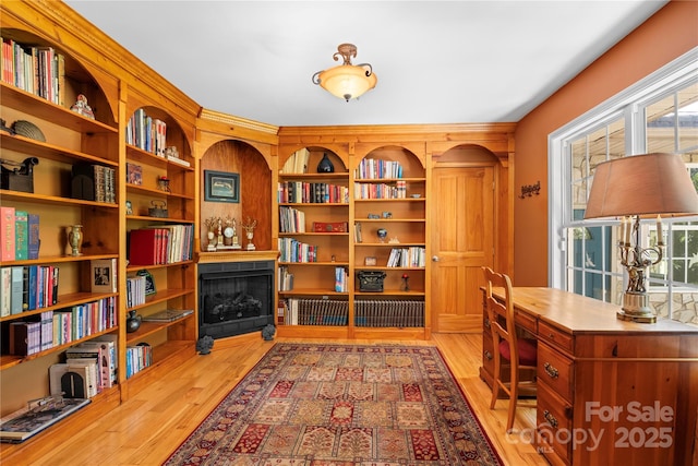 3 Northwood Rd, Asheville, NC 28804 - photo 13