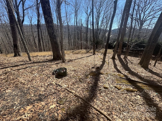 395 Sugar Tree Ln, Mars Hill, NC 28754