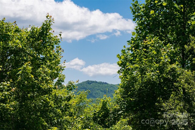 2117 Deep Woods Dr, Hendersonville, NC 28739 - photo 4