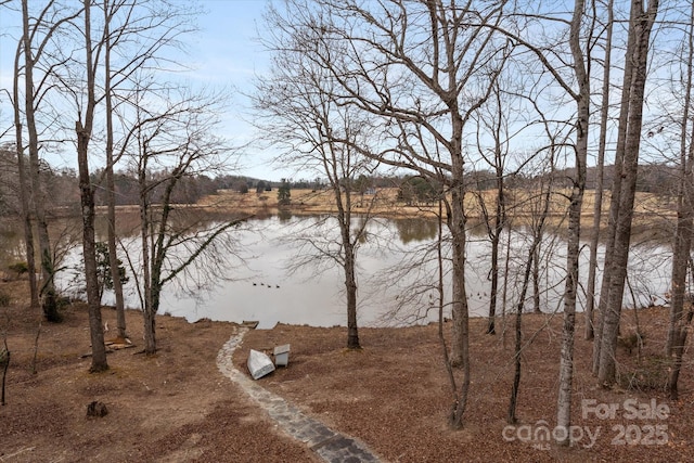 view of water feature